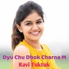 About Dyu Chu Dhok Charna M Song